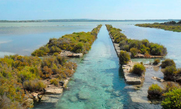 Ses Salines - Ibiza Travel