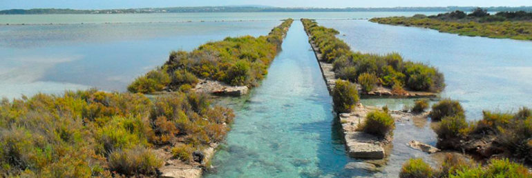 Ses Salines - Ibiza Travel