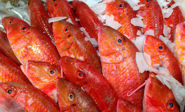 Feria de los pescados de otoño - Ibiza Travel