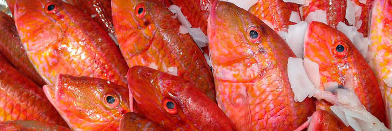 Feria de los pescados de otoño - Ibiza Travel