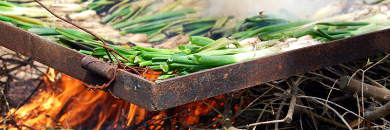 Calçots - Ibiza Travel