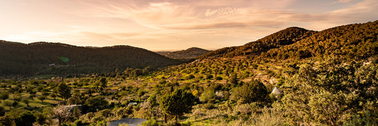Ibiza Ecológica - Ibiza Travel