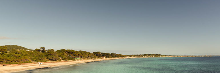 Ses Salines - Ibiza Travel