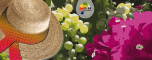 Día del Turista 2019 - Ibiza Travel