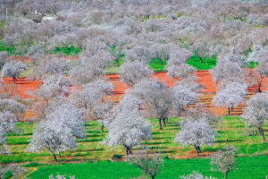 Santa Agnès de Corona - Ibiza Travel