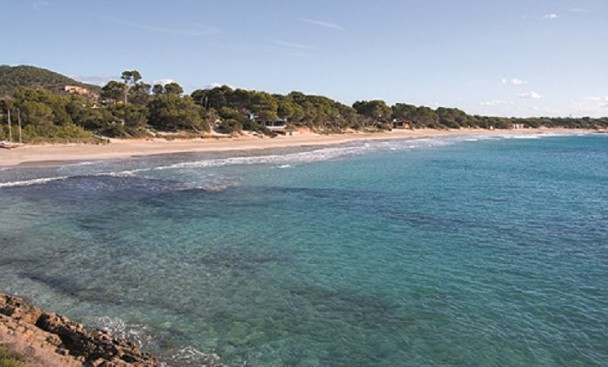 Las Salinas Ibiza - Trendy beach