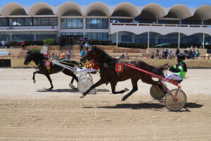 Eventos Hipódromo San Rafael - Ibiza Travel