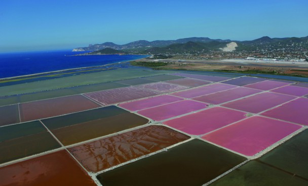 The Natural Park of Ses Salines of Ibiza and Formentera - Ibiza