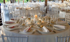 Maximice Events - Ibiza Travel