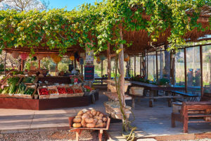 La isla que no tiene edad - Ibiza Travel