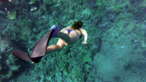 Buceo en Ibiza - Ibiza Travel