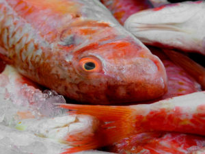 Feria de los pescados de otoño - Ibiza Travel