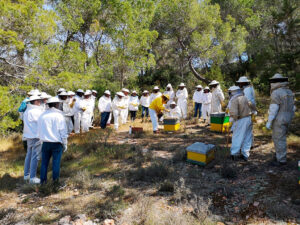 Miel de Ibiza - Ibiza Travel
