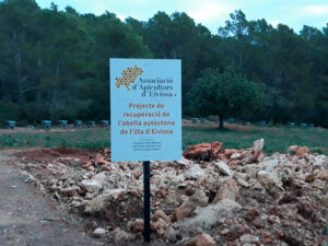 Miel de Ibiza - Ibiza Travel