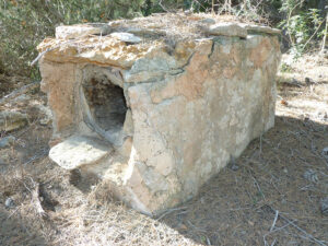 Miel de Ibiza - Ibiza Travel