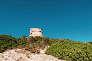 Salinas - Ibiza - Ibiza Travel