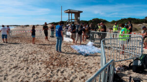 Tortugas - CREM - Ibiza Travel