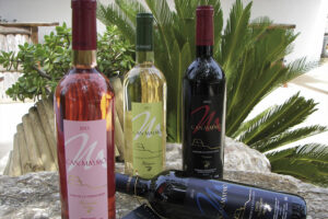 Vino de la Tierra - Ibiza Travel