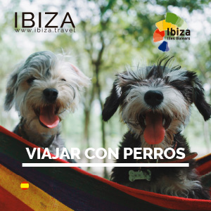Viajar con Perro - Ibiza Travel