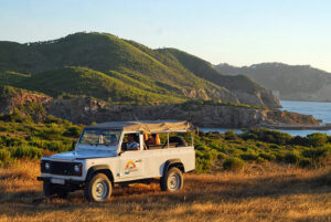 Into the island - Ibiza Travel