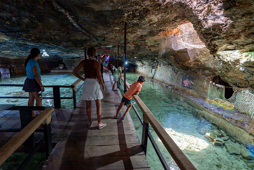 Ein Familientag im Aquarium Cap Blanc Ibiza Travel